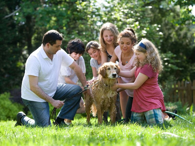 Symbolbild – Familie
